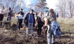 Plantations Cavalier   009